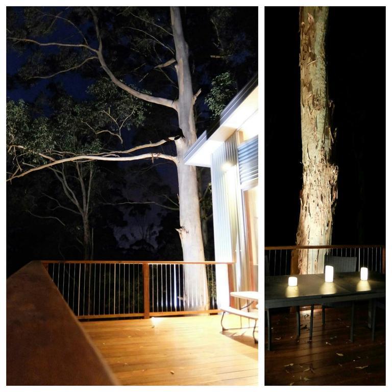 הוילה דנמארק The Tree House מראה חיצוני תמונה
