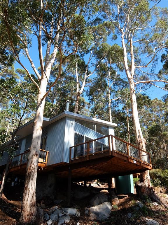 הוילה דנמארק The Tree House מראה חיצוני תמונה